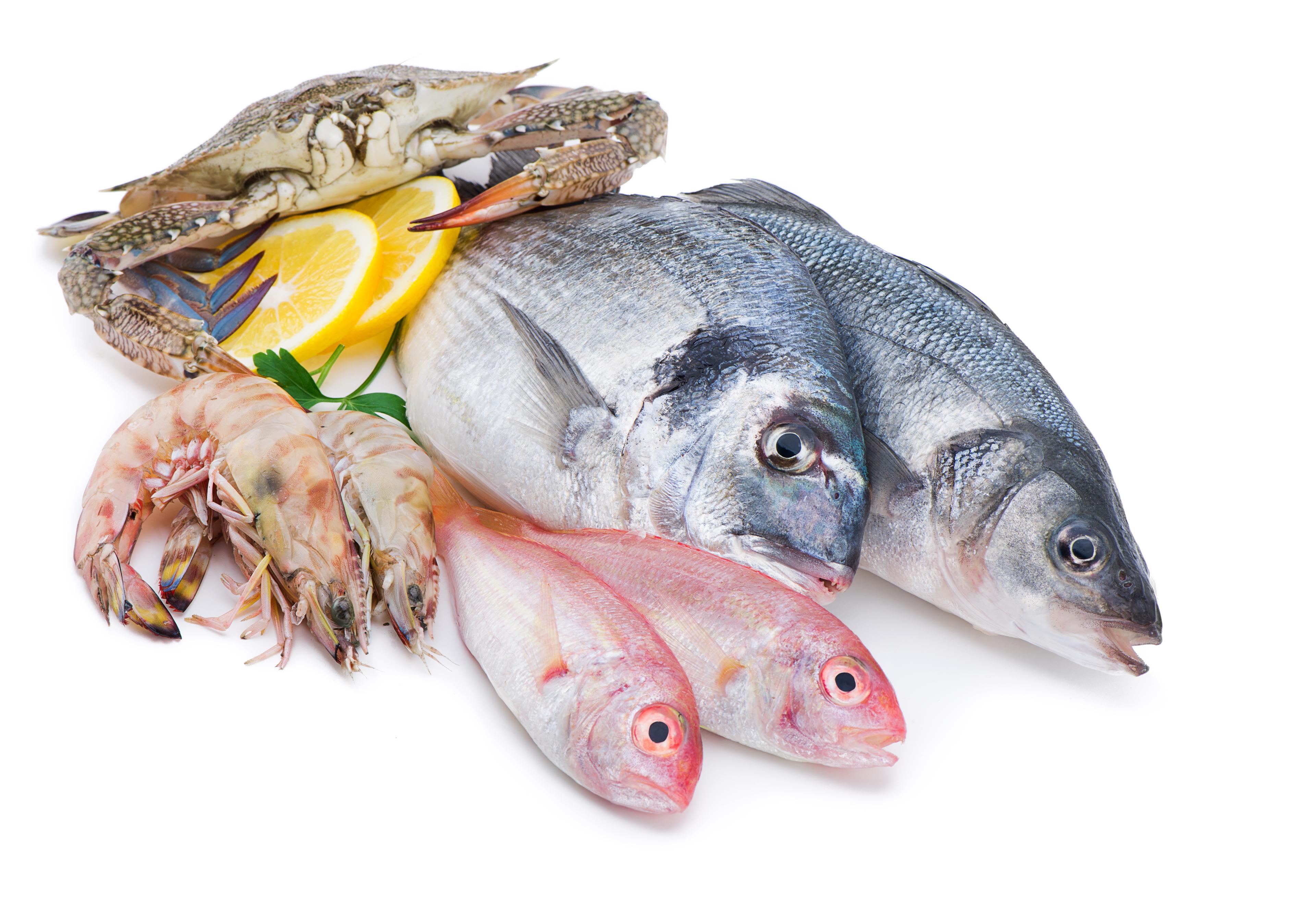 SeaFood | கடல் உணவுகள்
